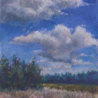 Chamomile Cloudscape